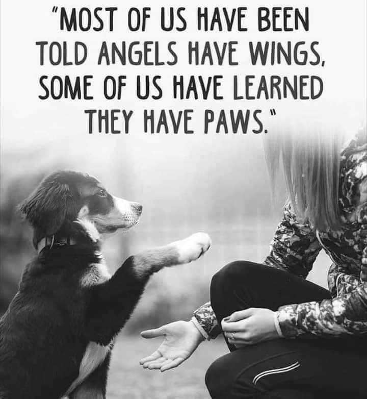 Grief Support